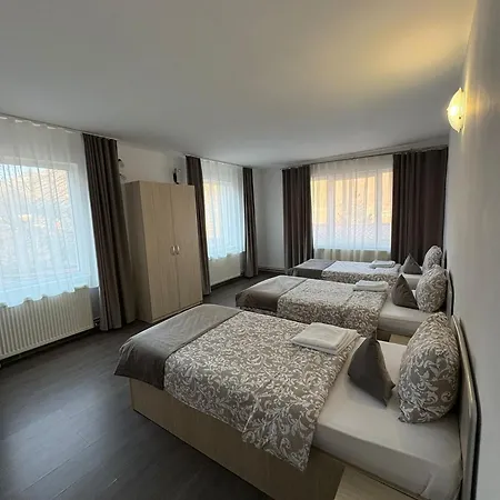 Vendégház Pensiunea Alpina 3*