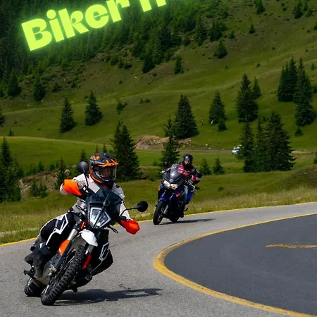 Vendégház Pensiunea Alpina 3*